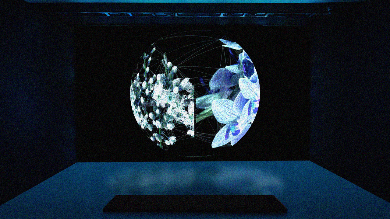Istanbul Digital Art Festival 2025