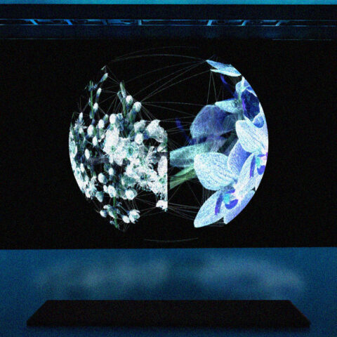 Istanbul Film und Digitale Kunstfestival 2025: Kreative Nächte & Boutique-Unterkunft bei Faik Pasha Apartments