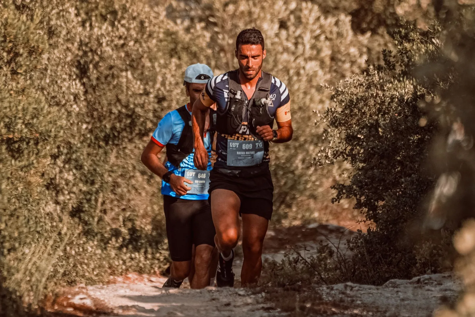 Istanbul Marathon 2026: Die Königsdisziplin zwischen zwei Kontinenten
